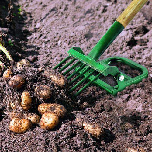 картинка Картофелекопалка "Урожай" чудо-лопата, ширина копки 280 мм, 7 зубцов, без черенка от магазина АСЯ