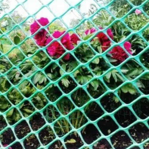 Сетка Садовая Купить В Нижнем Новгороде