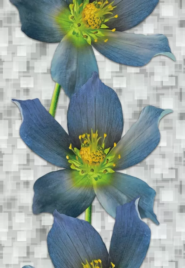 картинка Панель ПВХ 0622 синие цветы 2700х250х10мм  от магазина АСЯ