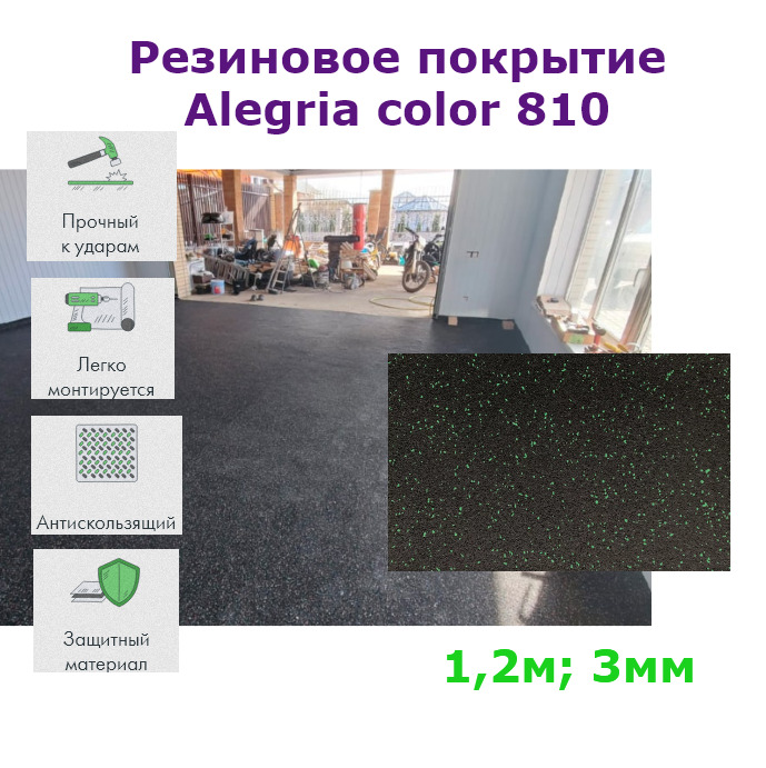 картинка Резиновое покрытие 1,2м 3мм Alegria color 810 противоскользящее от магазина АСЯ