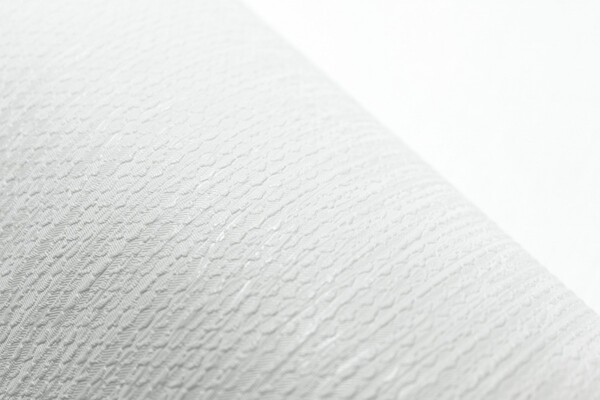картинка Обои Avangard 45-267-05 1,06х10 м белый, виниловые на флизелиновой основе от магазина АСЯ