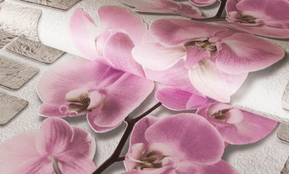 картинка Обои Аспект Орхидея 10107-85 0,53х10,05 м розовый, виниловые на бумажной основе от магазина АСЯ