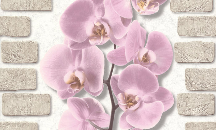 картинка Обои Аспект Орхидея 10107-85 0,53х10,05 м розовый, виниловые на бумажной основе от магазина АСЯ