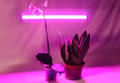 картинка Светильник светодиодный линейный Эра LLED-05-T5-FITO-9W-W для растений от магазина АСЯ