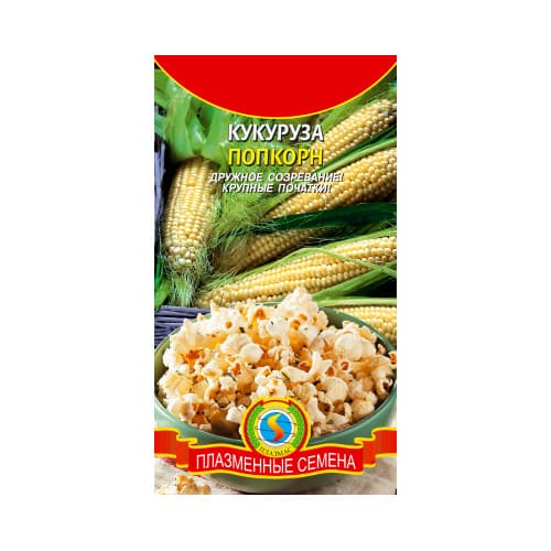 картинка Кукуруза Попкорн, Плазменные семена от магазина АСЯ