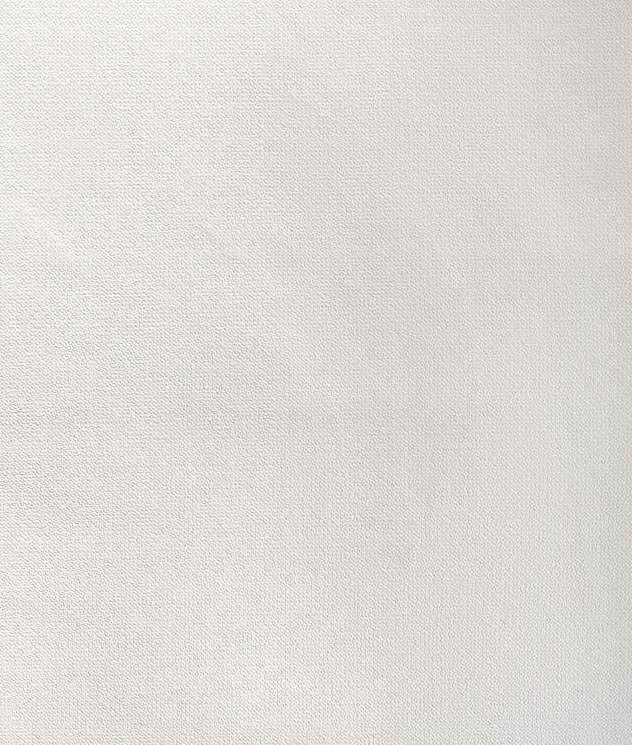 картинка Обои Е508010 Элизиум под покраску 1,06х10 м белый, виниловые на флизелиновой основе от магазина АСЯ