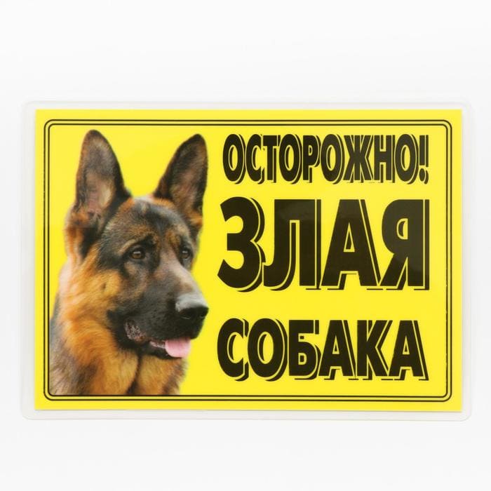 картинка Табличка ламинированая "Осторожно! Злая собака" Овчарка, 7347088 от магазина АСЯ