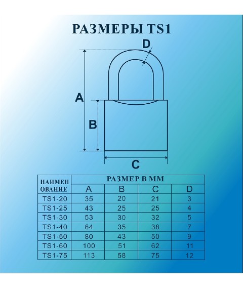 картинка Замок навесной MSM TS1-75 от магазина АСЯ