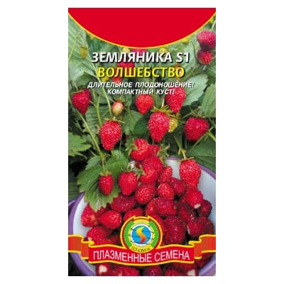 картинка Земляника S1 ВОЛШЕБСТВО 10 шт. (плазменные семена) от магазина АСЯ