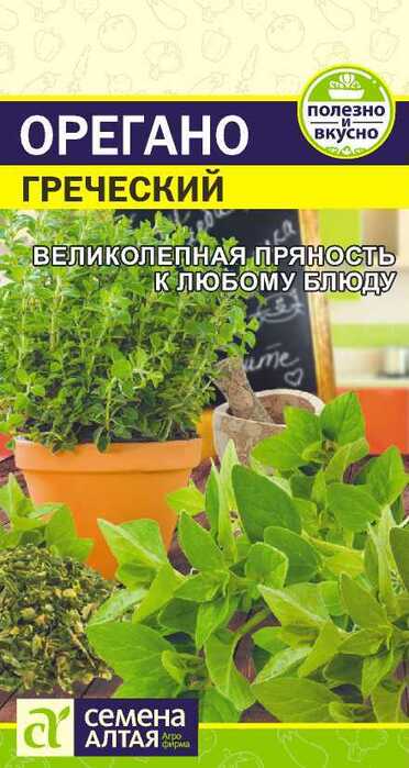 картинка Орегано Греческий 0,05 г от магазина АСЯ