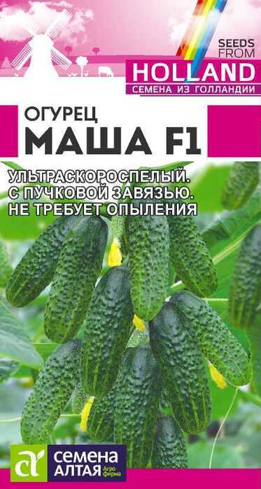 картинка Огурец Маша F1 5 шт от магазина АСЯ