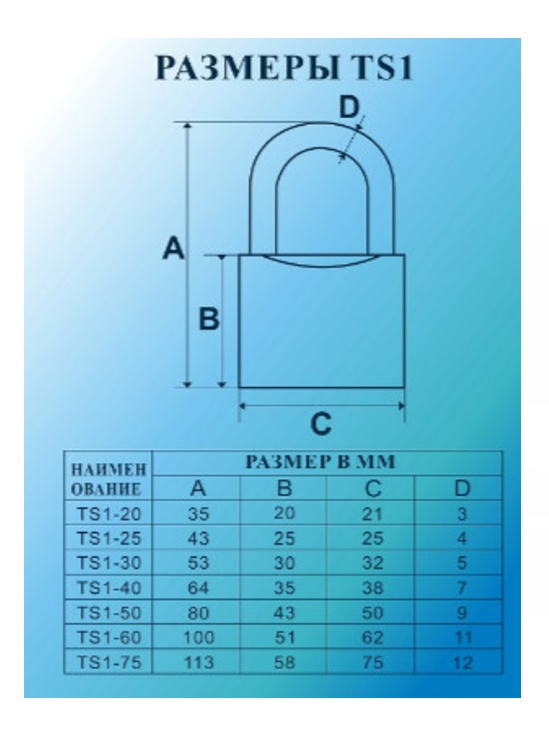 картинка Замок навесной TS1-20 MSM от магазина АСЯ