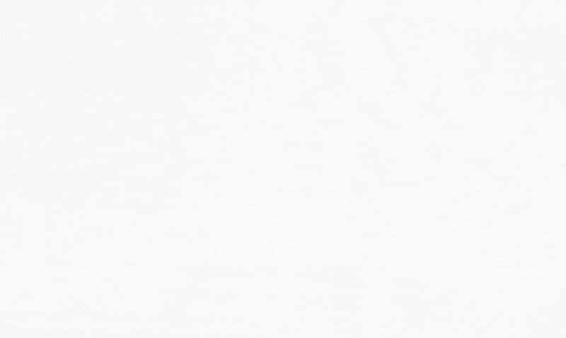 картинка Обои Артекс Вишня 10317-01 1,06х10 м белый, виниловые на флизелиновой основе от магазина АСЯ