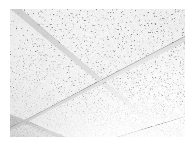 картинка Плита для подвесного потолка Амур 595х595х8 мм (по типу Армстронг) от магазина АСЯ