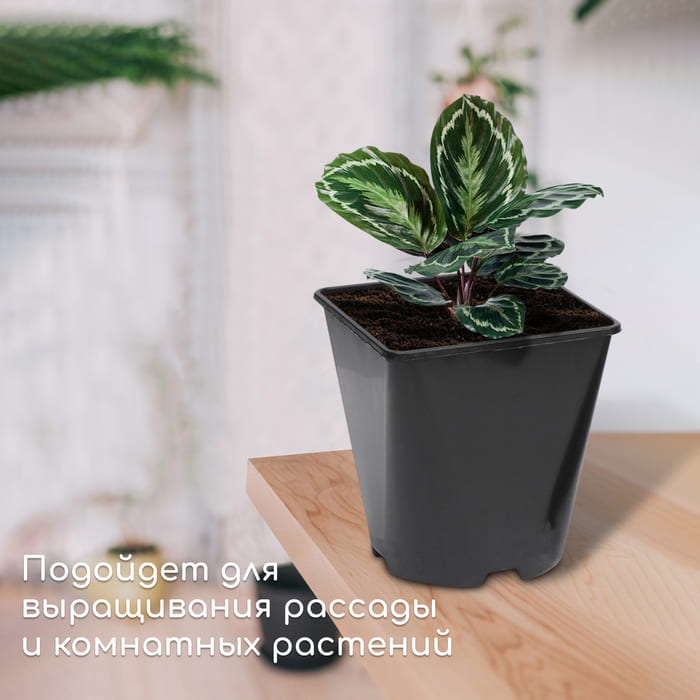 картинка Горшок для рассады, 2 л, d = 14 см, h = 15 см, чёрный от магазина АСЯ