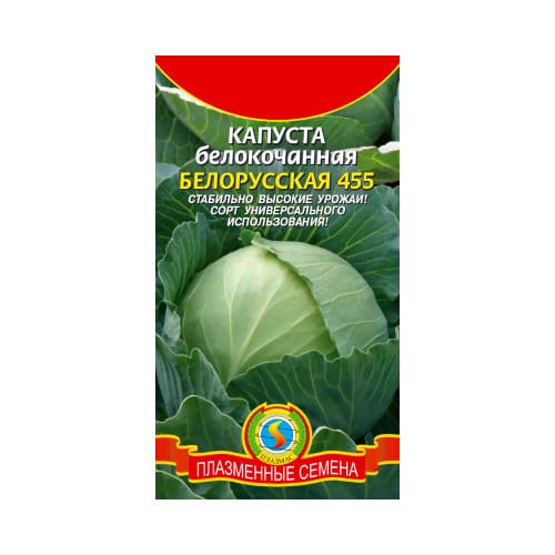картинка Капуста белокочанная Белорусская 455, Плазменные семена от магазина АСЯ