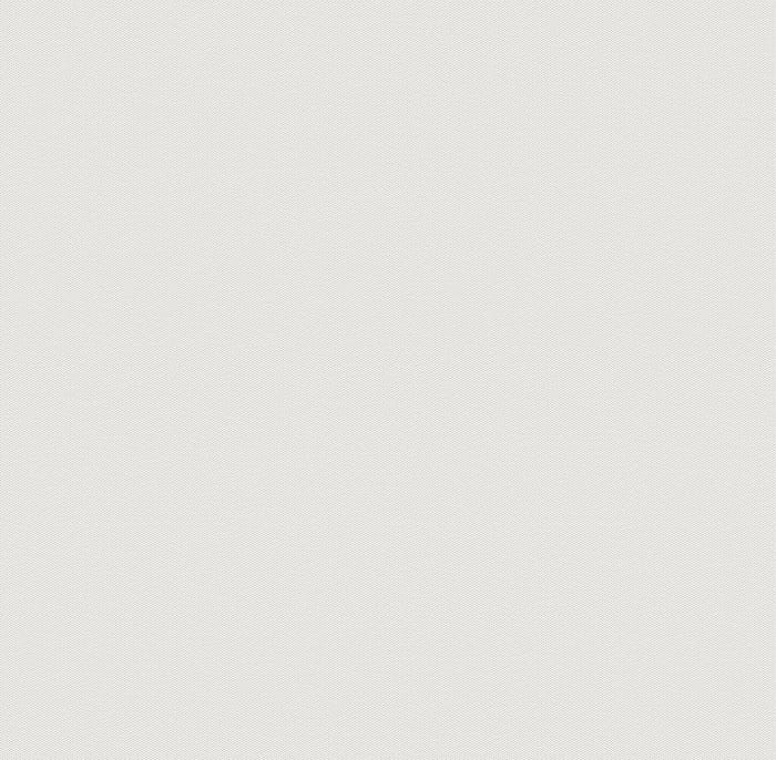 картинка Обои Altai 287013 1,06х10,05 м серый, виниловые на флизелиновой основе от магазина АСЯ