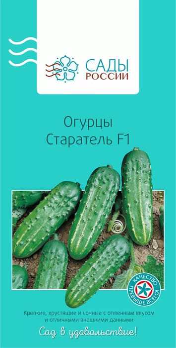 картинка Огурец Старатель F1 12 шт Сады России от магазина АСЯ