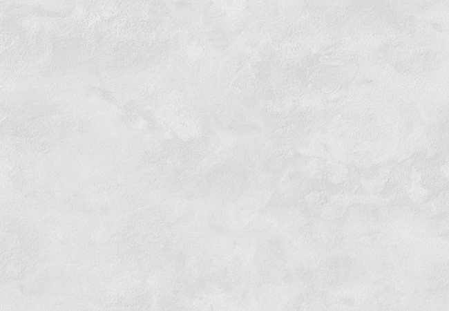 картинка Обои 283457 Victoria Stenova MONTE-CRISTO фон 1,06х10 м серый, виниловые на флизелиновой основе от магазина АСЯ