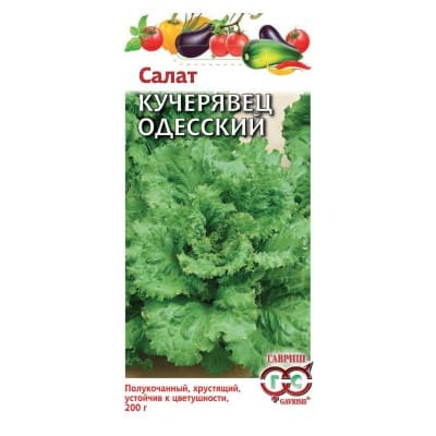 картинка Салат полукочанный Кучерявец Одесский, 0,5г, Гавриш от магазина АСЯ