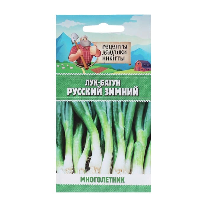 картинка Семена Лук-батун "Русский зимний", 0,5 г от магазина АСЯ