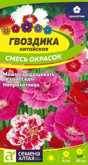 Гвоздика смесь окрасок. Гвоздика китайская смесь. Гвоздика китайская однолетник. Гвоздика китайская смесь окрасок. Гвоздика китайская семена.