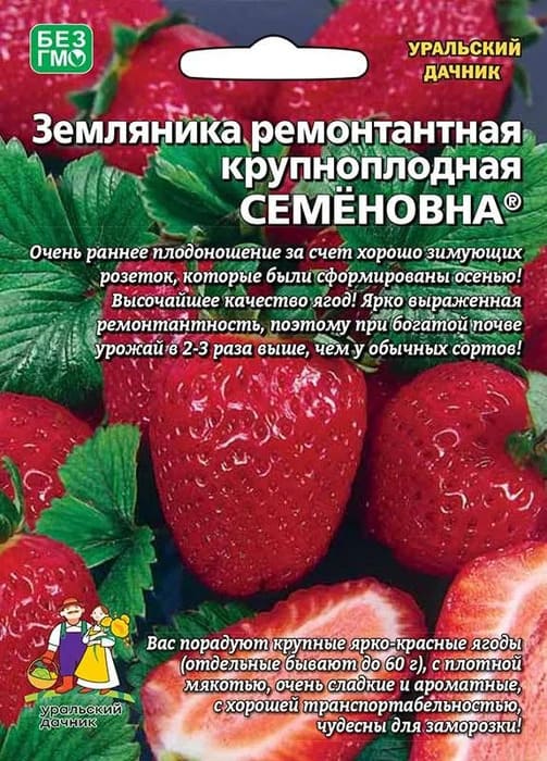 картинка Земляника Семеновна ремонтантная 10 шт крупноплодная от магазина АСЯ