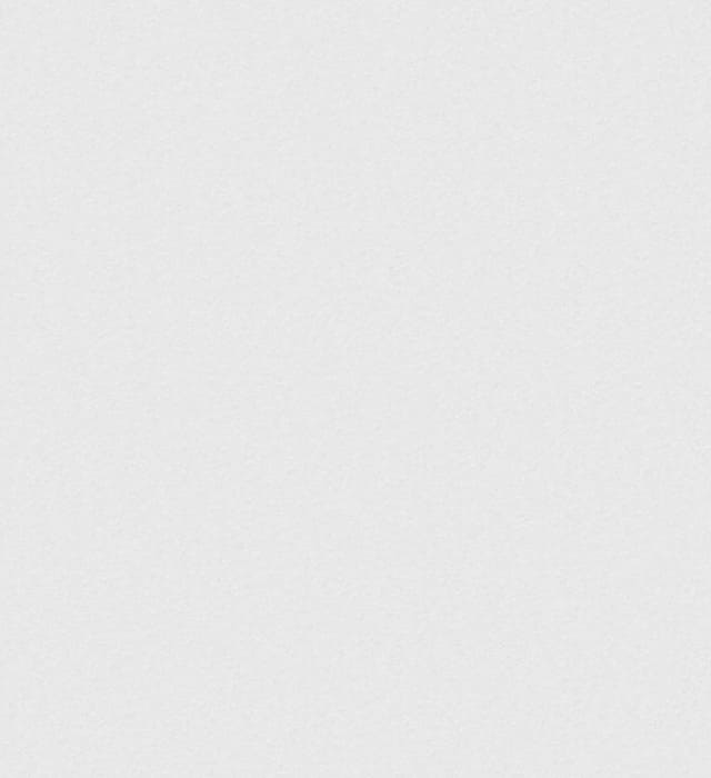 картинка Обои Олимп Сакура Д872-06 0,53х10м, серый, дуплекс на бумажной основе от магазина АСЯ