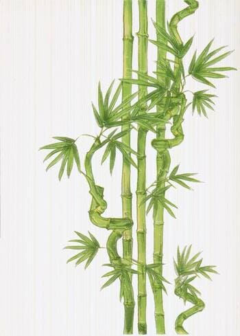 картинка Вставка Ретро декор Бамбук 2 салатный 25x35 от магазина АСЯ