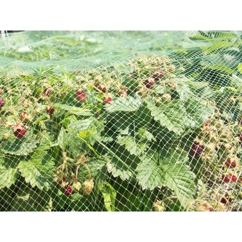 картинка Сетка для защиты урожая от птиц, 5х5м, полиэтилен, зеленая 165-015 от магазина АСЯ