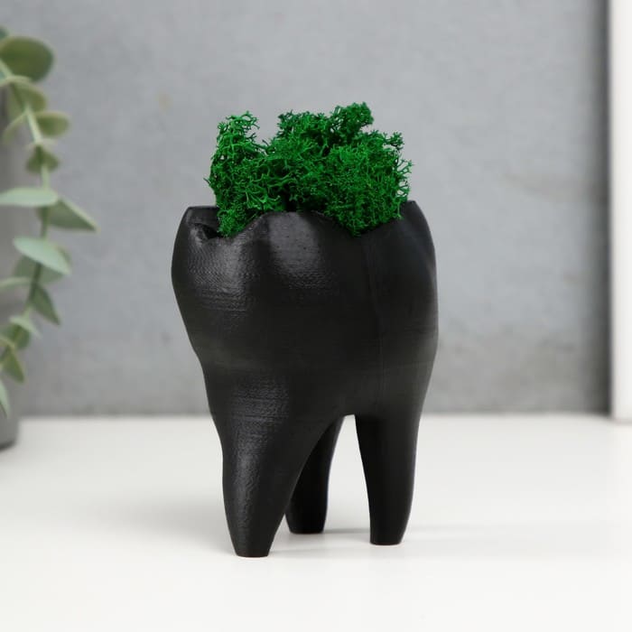 картинка Кашпо бетонное "Зуб" со мхом, черный 7,5х6,5х9,5 см (мох зеленый стабилизированный), 10227299 от магазина АСЯ