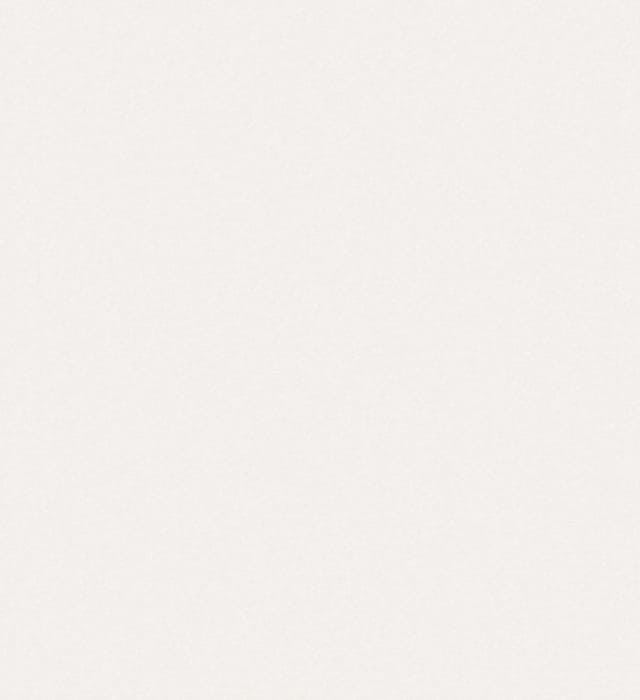картинка Обои Олимп Сакура Д872-03 0,53х10м, бежевый, дуплекс на бумажной основе от магазина АСЯ