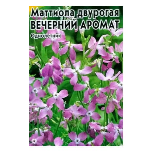 картинка Меттиола двурогая НОЧНОЙ АРОМАТ (плазменные семена) (бел/пакет) от магазина АСЯ