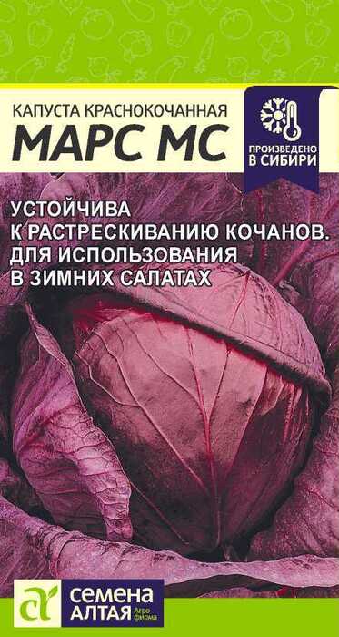 картинка Капуста Краснокочанная Марс МС 0,3 г от магазина АСЯ