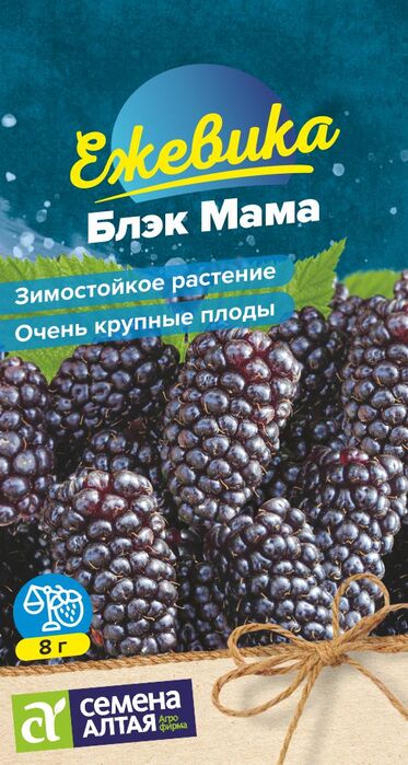 картинка Ежевика Блэк Мама крупноплодная 0,3 г от магазина АСЯ