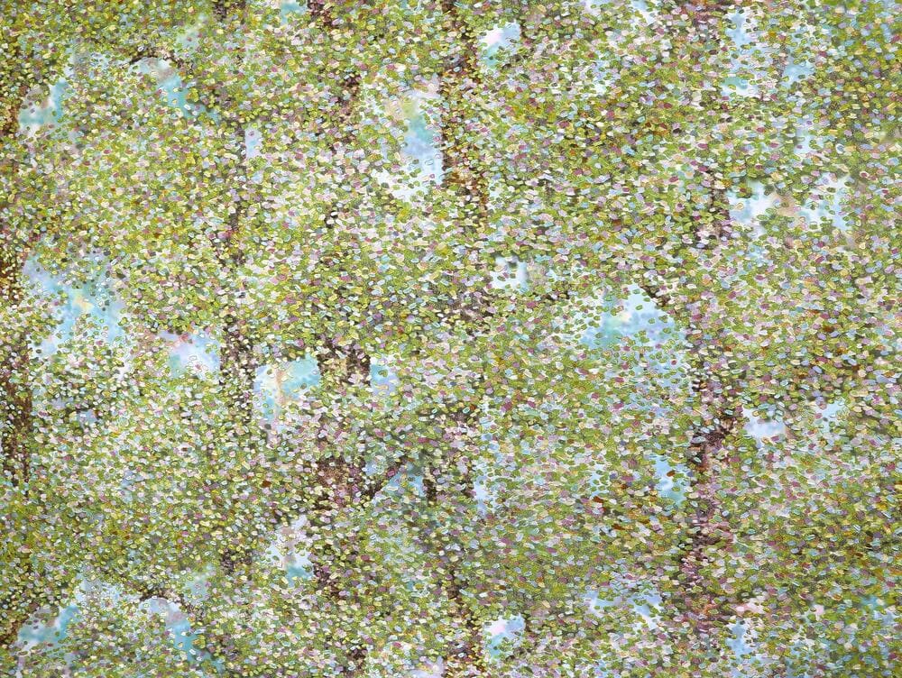 картинка Обои Elysium Альвери Е800507 1,06х10 м зеленый, виниловые на флизелиновой основе от магазина АСЯ