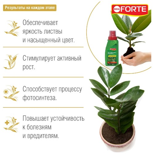 картинка Удобрение Bona Forte КРАСОТА для декоративно-лиственных растений 285мл от магазина АСЯ